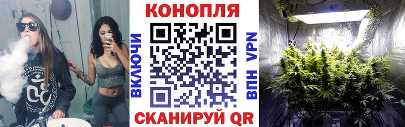 MDMA Кедровый