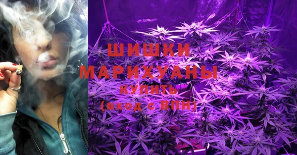 кокс Инта