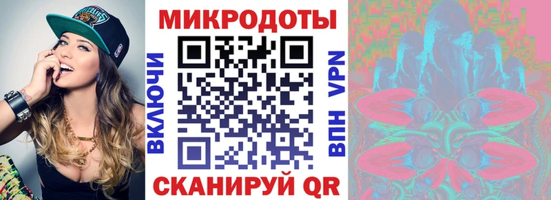 Купить закладки Кедровый Галлюциногенные грибы прущие грибы