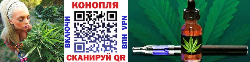 Канабис сатива Кедровый